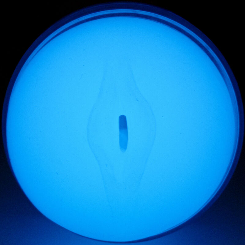 Masturbateur Masculin FeelGlow Phosphorescent - Kiiroo
