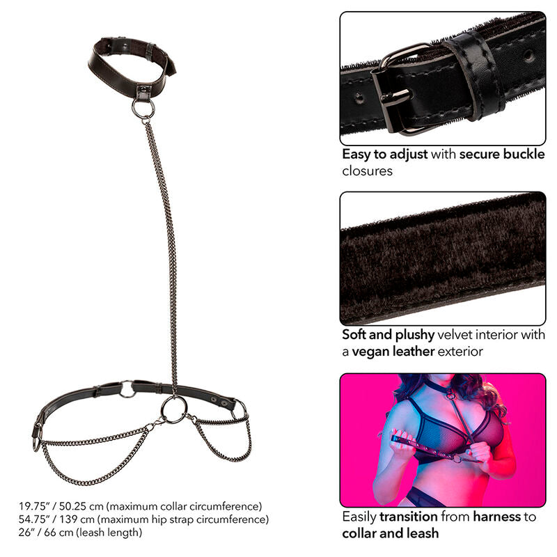 Harnais Collier Euphoria Chaîne Grande Taille - CalExotics