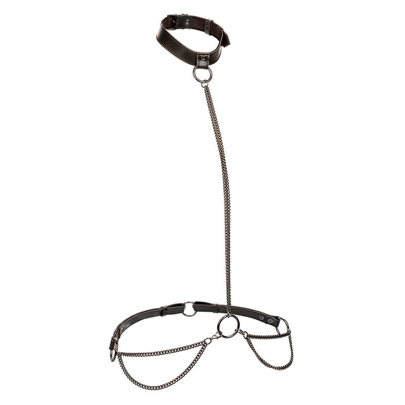 Harnais Collier Euphoria Chaîne Grande Taille - CalExotics