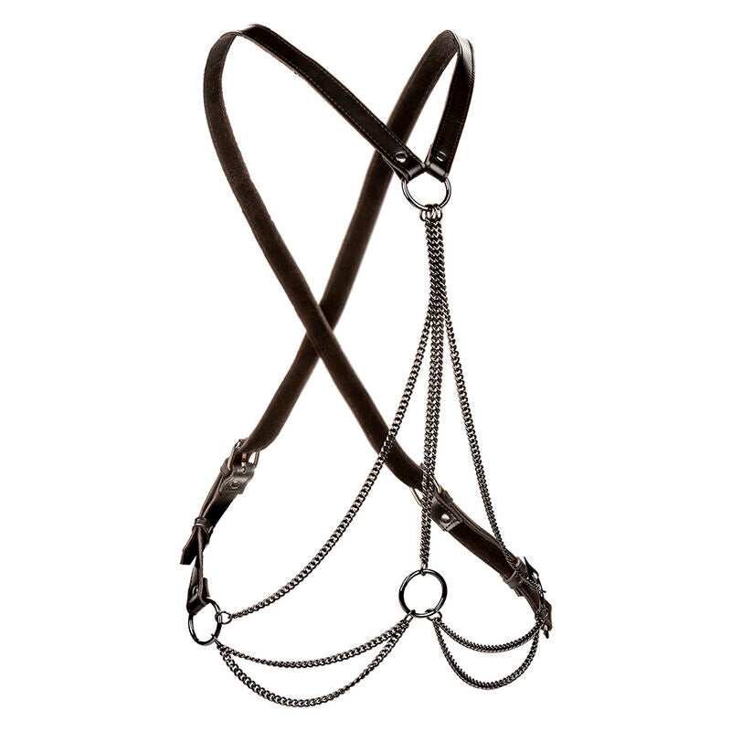 Harnais Euphoria Multichaîne Premium Grande Taille - CalExotics