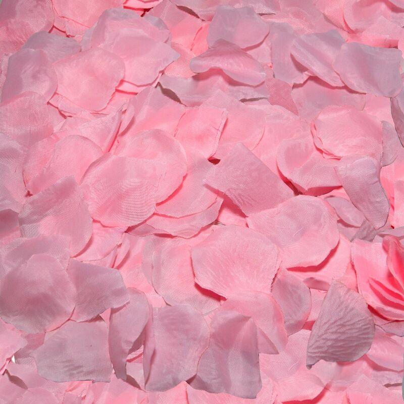 Pétales de Rose Décoratifs 100 Pièces Roses - Diablo Picante