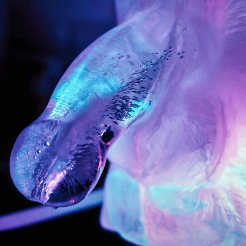 Moule à Glace Pénis Géant Ice Luge - Play Wiv Me - PLAY WIV ME