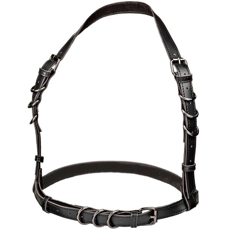 Harnais Euphoria Boucle Licol Noir - CalExotics