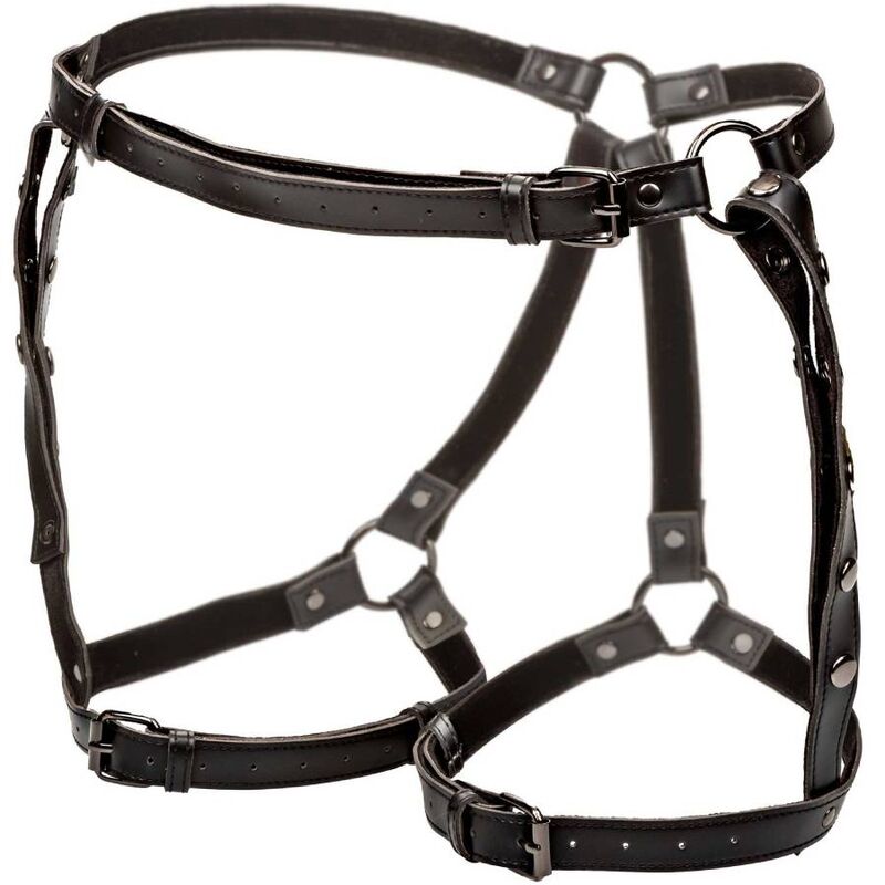 Harnais de Cuisse Euphoria Multi Chaînes Grande Taille - CalExotics