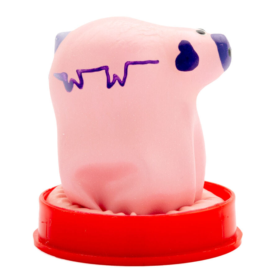 Préservatif Fantaisie Peint Petit Cochon - Condomerie - CONDOMERIE