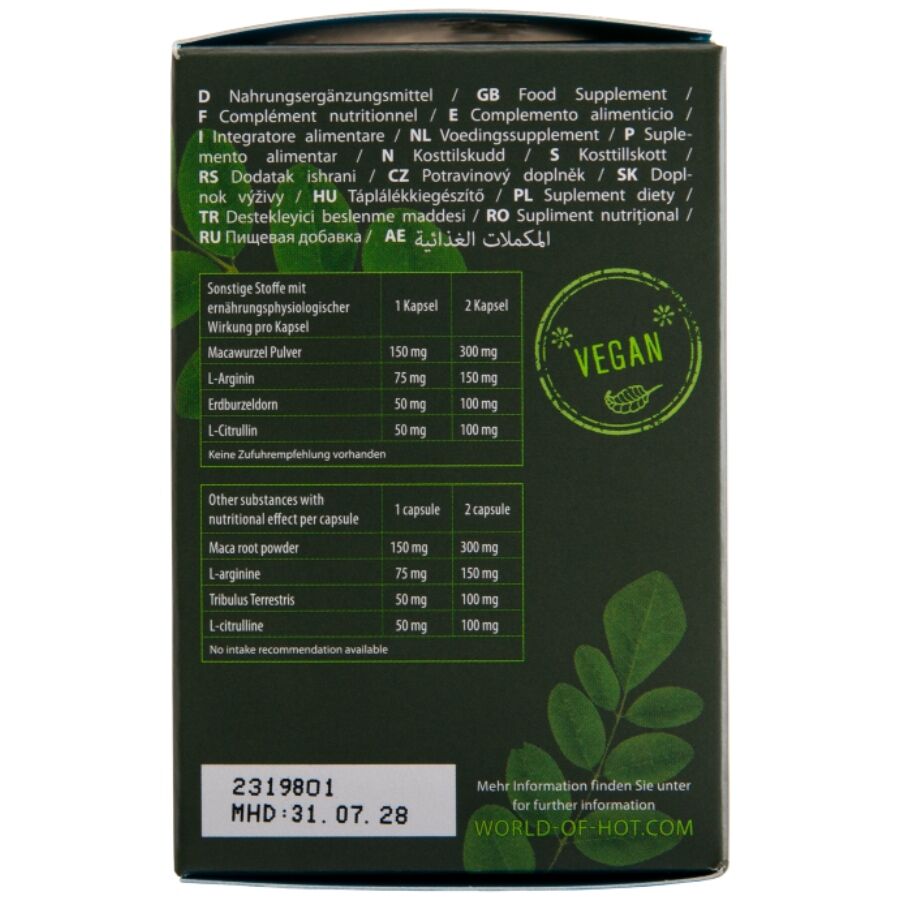 Complément Alimentaire Hot Moringa Masculin 60 Capsules - Hot