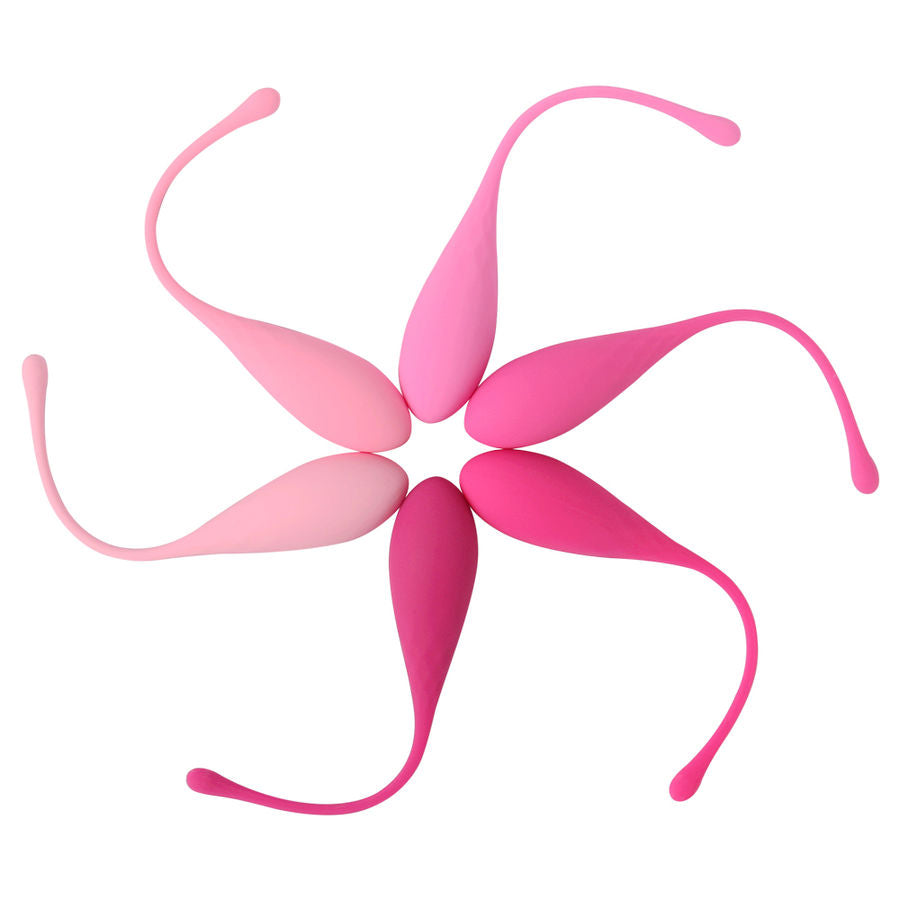 Leslie – Kit d’Entraînement de 6 Pièces pour Muscler le Plancher Pelvien